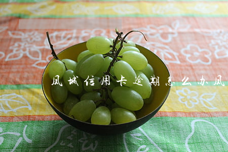 凤城信用卡逾期怎么办（凤城信用卡逾期）
