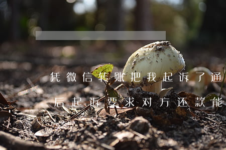 凭微信转账把我起诉了 通过微信转款给别人,后起诉要求对方还款,能成立吗