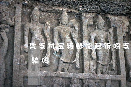 凭支付宝转账能起诉吗(支付宝转账可以告诈骗吗)