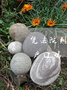 凭法院判决书办户口本可以吗(判决书可以分户口吗)
