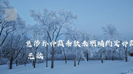 凭涉外仲裁条款未明确约定仲裁机构而认定无效