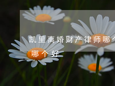 凯里离婚财产律师哪个好(凯里离婚财产律师哪个好)