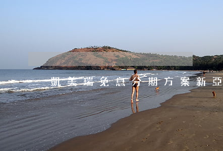 凱美瑞免息分期方案(新亞強股票行情)