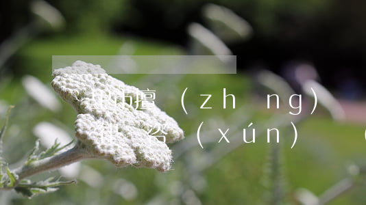 凱里市擅長(zhǎng)債務(wù)糾紛律師咨詢(xún)電話(huà)-凱里律師免費(fèi)咨詢(xún)電話(huà)