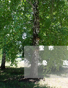 凱里市辦理債務糾紛律師咨詢電話-凱里律師免費咨詢電話