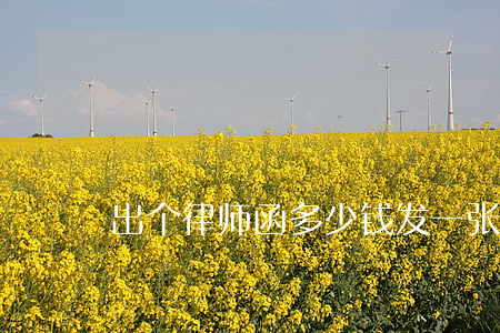出个律师函多少钱(发一张律师函要多少钱)