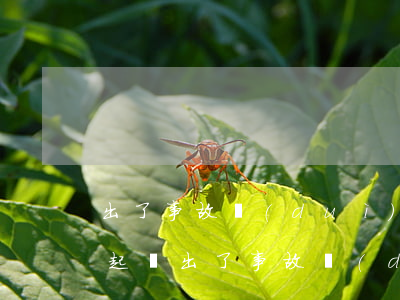 出了事故對(duì)方全責(zé)怎么起訴(出了事故對(duì)方全責(zé)怎么起訴)