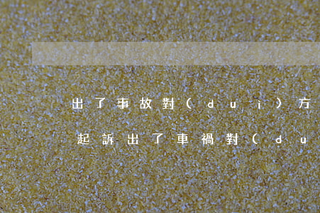 出了事故對(duì)方全責(zé)怎么起訴(出了車禍,對(duì)方全責(zé),如何索賠)