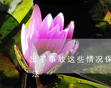 出了事故，这些情况保险公司不买单（案例+说法）
