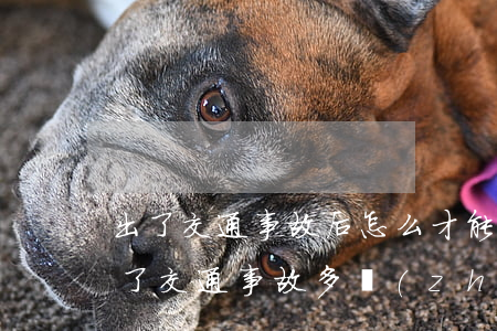 出了交通事故后怎么才能取車(chē)(出了交通事故多長(zhǎng)時(shí)間可以取車(chē))