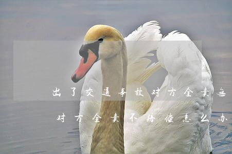 出了交通事故对方全责无法赔偿(交通事故后对方全责不赔偿怎么办)