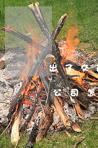 出了交通事故撞到別人車保險(xiǎn)公司怎么賠償(車撞到別人的車保險(xiǎn)公司賠償嗎)