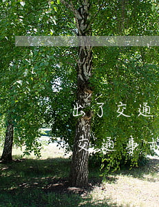 出了交通事故賠償費(fèi)怎么算(出了交通事故賠償費(fèi)怎么算)