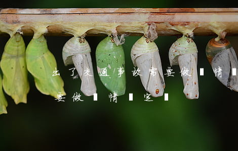 出了交通事故需要做傷情鑒定嗎(交通事故需要做傷情鑒定嗎?)