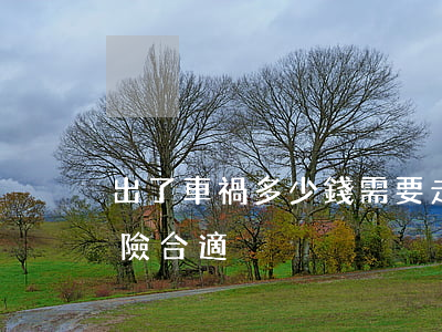 出了車禍多少錢需要走保險(事故多少錢走保險合適)