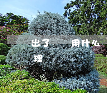 出了車禍用什么沖一沖喪(犯沖喪事后怎么處理)