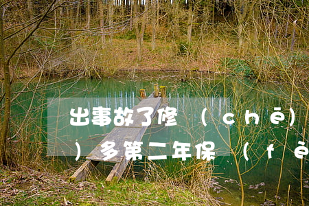 出事故了修車(chē)花了八萬(wàn)多,第二年保費(fèi)怎么加