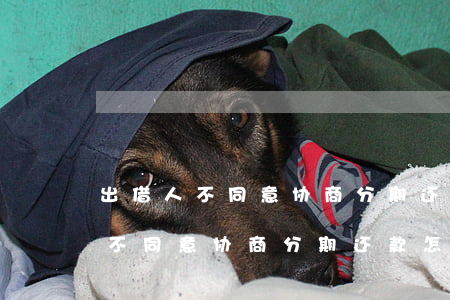出借人不同意协商分期还款怎么办-出借人不同意协商分期还款怎么办呢