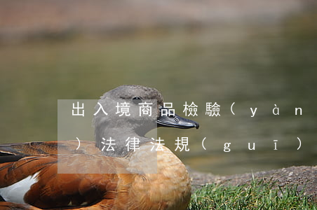 出入境商品檢驗(yàn)相關(guān)法律法規(guī)(中華人民共和國進(jìn)出口商品檢驗(yàn)法實(shí)施條例的法規(guī)內(nèi)容)