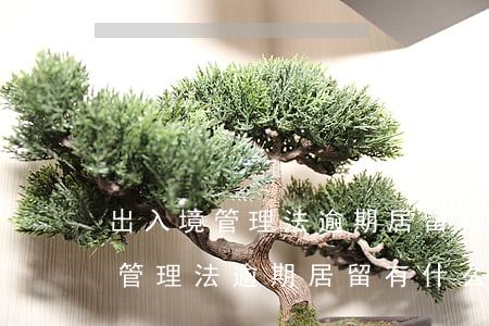 出入境管理法逾期居留有什么處罰-出入境管理法逾期居留有什么處罰規(guī)定
