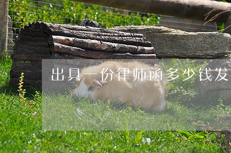 出具一份律师函多少钱(发一封律师函多少钱)