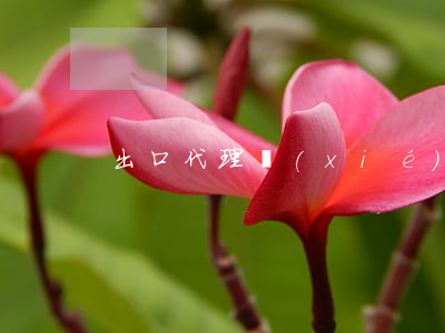 出口代理協(xié)議書