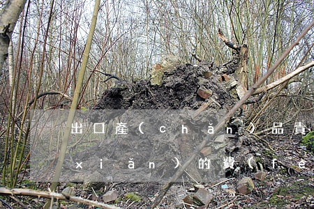 出口產(chǎn)品責(zé)任保險(xiǎn)的費(fèi)率厘訂原則是什么