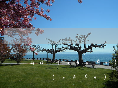 出口轉(zhuǎn)內(nèi)銷的知識產(chǎn)權(quán)問題