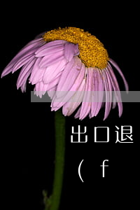 出口退稅應(yīng)收款信托有哪些風(fēng)險(xiǎn)