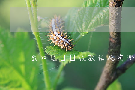 出口退稅應收款信托有哪些風險