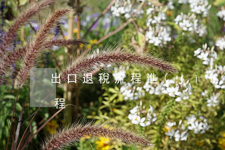 出口退稅流程(進(jìn)出口退稅辦理流程)