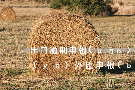 出口逾期申報(bào)賬務(wù)(企業(yè)外匯申報(bào)逾期怎么辦)