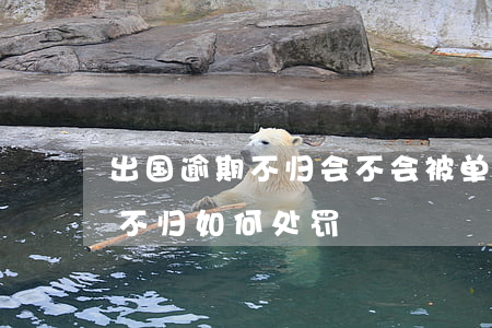 出国逾期不归会不会被单位开除-出国逾期不归如何处罚