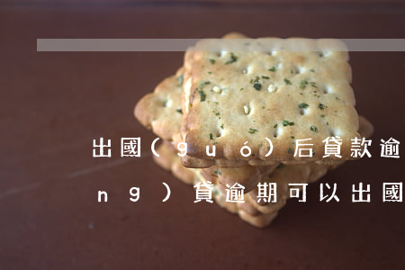 出國(guó)后貸款逾期怎么辦(網(wǎng)貸逾期可以出國(guó)嗎)