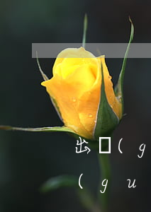 出國(guó)男方想離婚怎么辦(一方在國(guó)外想辦離婚怎么辦理)