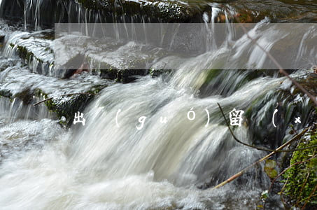 出國(guó)留學(xué)合同