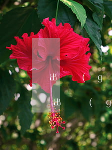 出國(guó)留學(xué)需要的條件，出國(guó)留學(xué)需要什么條件