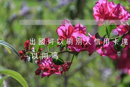 出國可以刷別人信用卡違法嗎(信用卡出國可以用嗎)