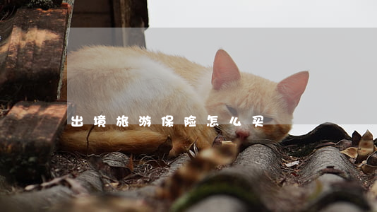 出境旅游保险怎么买
