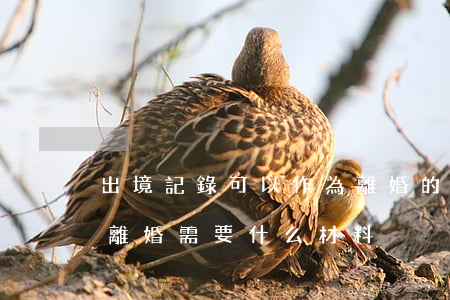 出境記錄可以作為離婚的理由嗎(與外籍人士離婚需要什么材料)