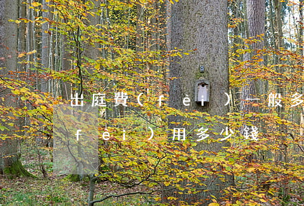 出庭費(fèi)一般多少錢(法院起訴費(fèi)用多少錢)
