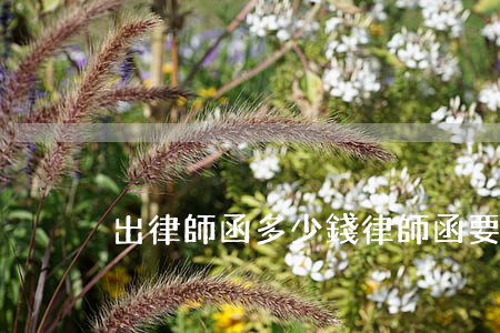 出律師函多少錢(律師函要多少錢)