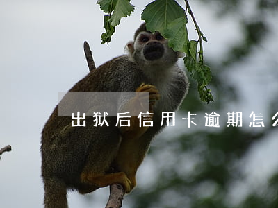 出狱后信用卡逾期怎么消除