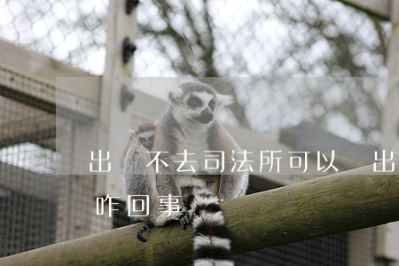 出獄不去司法所可以嗎(出獄司法所去人接是咋回事)