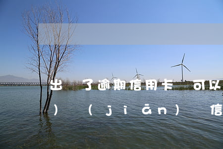 出獄了逾期信用卡還可以用嗎-進(jìn)監(jiān)獄信用卡逾期出來后全部還清