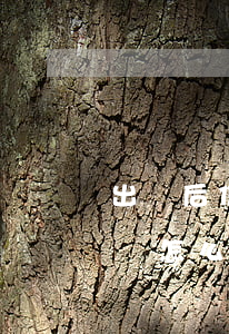 出獄后信用卡逾期怎么辦(被判入獄信用卡未還怎么辦)