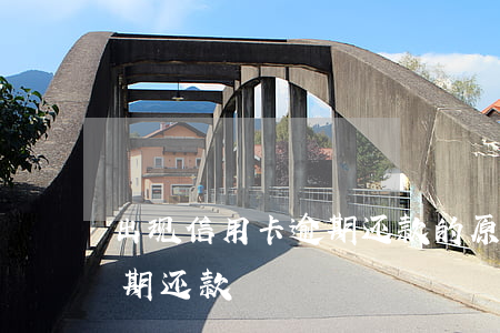 出现信用卡逾期还款的原因(什么叫信用卡逾期还款)