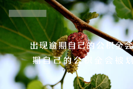 出现逾期自己的公积金会被划走吗-出现逾期自己的公积金会被划走吗怎么办