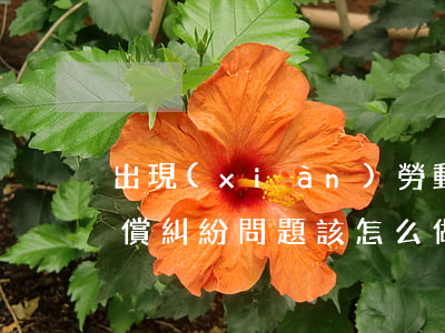 出現(xiàn)勞動(dòng)工傷賠償糾紛問題該怎么做
