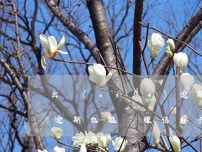 出現(xiàn)逾期不可以辦理信用卡嗎 逾期也能辦理信用卡